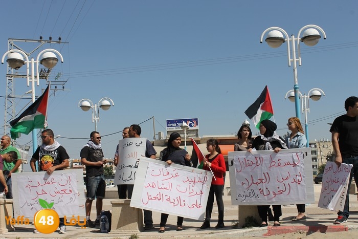 waqfaludn329 (11).jpg